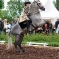 CRW_5917.jpg